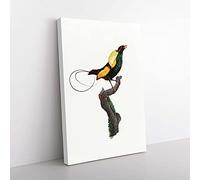 Big Box Art A Magnificent Bird of Paradise by Jacques Barraband Canvas Wall Art Print Ready to Hang Picture, 76 x 50 cm (30 x 20 Inch), White, Black, Grey, Blue