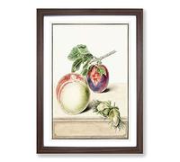 Big Box Art A Peach & Plum by E.G. Van de Kasteele Framed Wall Art Picture Print Ready to Hang, Walnut A2 (62 x 45 cm)