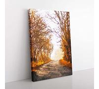 Big Box Art A Road Through The Woods in Abstract Canvas Wall Art Print Ready to Hang Picture, 76 x 50 cm (30 x 20 Inch), White, Brown, Brown