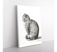 Big Box Art A Sitting Cat by Jean Bernard Canvas Wall Art Print Ready to Hang Picture, 76 x 50 cm (30 x 20 Inch), White, Grey, Black