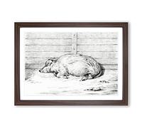Big Box Art A Sleeping Pig by Jean Bernard Framed Wall Art Picture Print Ready to Hang, Walnut A2 (62 x 45 cm)