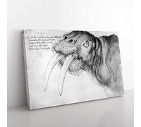 Big Box Art Albrecht Durer Head of a Walrus Canvas Wall Art Print Ready to Hang Picture, 76 x 50 cm (30 x 20 Inch), Multi-Coloured