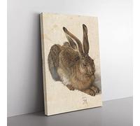 Big Box Art Albrecht Durer The Hare Canvas Wall Art Print Ready to Hang Picture, 76 x 50 cm (30 x 20 Inch), Multi-Coloured