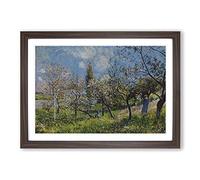 Big Box Art Alfred Sisley Orchard in Spring Framed Wall Art Picture Print Ready to Hang, Walnut A2 (62 x 45 cm)