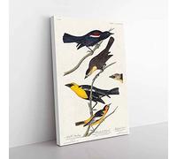 Big Box Art An Assortment of Birds by John James Audubon Canvas Wall Art Print Ready to Hang Picture, 76 x 50 cm (30 x 20 Inch), White, Black, Grey, Brown, Yellow