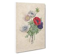 Big Box Art Anemone Flowers by Pierre-Joseph Redoute Canvas Wall Art Framed Picture Print, 30 x 20 Inch (76 x 50 cm), Beige, Red, Purple