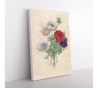 Big Box Art Anemone Flowers by Pierre-Joseph Redoute Canvas Wall Art Print Ready to Hang Picture, 76 x 50 cm (30 x 20 Inch), Beige, Red, Purple