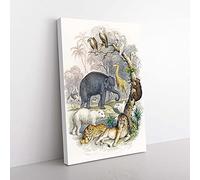 Big Box Art Animal Kingdom Illustration by Oliver Goldsmith Canvas Wall Art Print Ready to Hang Picture, 76 x 50 cm (30 x 20 Inch), White, Grey, Gold, Brown