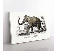 Big Box Art Asian Elephant by Charles d' Orbigny Canvas Wall Art Print Ready to Hang Picture, 76 x 50 cm (30 x 20 Inch), White, Grey, Green, Black