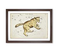 Big Box Art Astronomical Chart of The Ursa Major Constellation Framed Wall Art Picture Print Ready to Hang, Walnut A2 (62 x 45 cm)