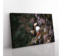 Big Box Art Atlantic Puffin Birds Vol.1 Painting Canvas Wall Art Print Ready to Hang Picture, 76 x 50 cm (30 x 20 Inch), Black, Brown, Brown