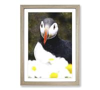 Big Box Art Atlantic Puffin Birds Vol.2 Painting Framed Wall Art Picture Print Ready to Hang, Oak A2 (62 x 45 cm)