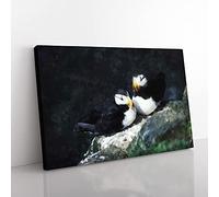 Big Box Art Atlantic Puffin Birds Vol.4 Painting Canvas Wall Art Print Ready to Hang Picture, 76 x 50 cm (30 x 20 Inch), Black, Green, Green