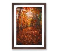 Big Box Art Autumn Forest Pathway in Abstract Framed Wall Art Picture Print Ready to Hang, Walnut A2 (62 x 45 cm)