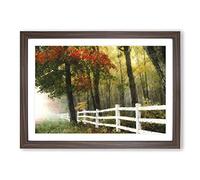 Big Box Art Autumn Forest Vol.6 Painting Framed Wall Art Picture Print Ready to Hang, Walnut A2 (62 x 45 cm)
