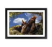 Big Box Art Baby Birds in The Nest (1) Framed Wall Art Picture Print Ready to Hang, Oak A2 (62 x 45 cm)