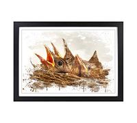 Big Box Art Baby Birds in The Nest (2) V3 Framed Wall Art Picture Print Ready to Hang, Black A2 (62 x 45 cm)