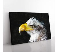 Big Box Art Bald Eagle Vol.1 Painting Canvas Wall Art Print Ready to Hang Picture, 76 x 50 cm (30 x 20 Inch), Black, Grey, Grey