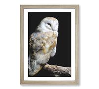 Big Box Art Barn Owl Vol.3 Painting Framed Wall Art Picture Print Ready to Hang, Oak A2 (62 x 45 cm)