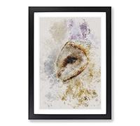 Big Box Art Barn Owl Vol.5 Watercolour Framed Wall Art Picture Print Ready to Hang, Black A2 (62 x 45 cm)