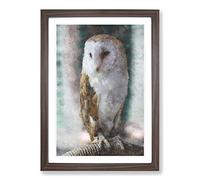 Big Box Art Barn Owl Vol.7 Painting Framed Wall Art Picture Print Ready to Hang, Walnut A2 (62 x 45 cm)