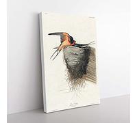 Big Box Art Barn Swallows by John James Audubon Canvas Wall Art Print Ready to Hang Picture, 76 x 50 cm (30 x 20 Inch), White, Grey, Green, Black