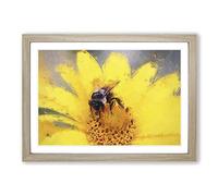 Big Box Art Bee Collecting Pollen in Abstract Framed Wall Art Picture Print Ready to Hang, Oak A2 (62 x 45 cm)