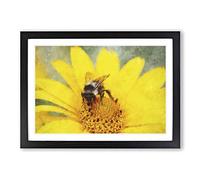 Big Box Art Bee Collecting Pollen Painting Framed Wall Art Picture Print Ready to Hang, Black A2 (62 x 45 cm)