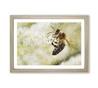 Big Box Art Bee Collecting Pollen Vol.1 Painting Framed Wall Art Picture Print Ready to Hang, Oak A2 (62 x 45 cm)