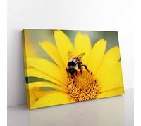 Big Box Art Bee Collecting Pollen Yellow Flower (1) Canvas Wall Art Print Ready to Hang Picture, 76 x 50 cm (30 x 20 Inch), Multi-Coloured