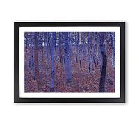 Big Box Art Beech Grove Forest Vol.3 by Gustav Klimt Framed Wall Art Picture Print Ready to Hang, Black A2 (62 x 45 cm)