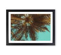 Big Box Art Below the Tropical Palm Trees in Abstract Framed Wall Art Picture Print Ready to Hang, Black A2 (62 x 45 cm)