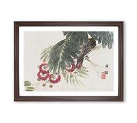 Big Box Art Bird Hiding in The Tree by Kono Bairei Framed Wall Art Picture Print Ready to Hang, Walnut A2 (62 x 45 cm)