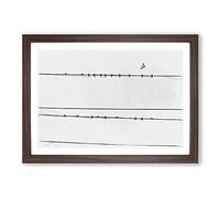 Big Box Art Birds on a Wire in Abstract Framed Wall Art Picture Print Ready to Hang, Walnut A2 (62 x 45 cm)