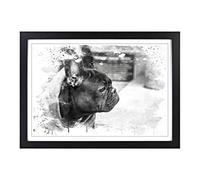 Big Box Art Black French Bulldog V3 Framed Wall Art Picture Print Ready to Hang, A2 (62 x 45 cm)
