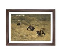Big Box Art Black Grouse by Bruno Liljefors Framed Wall Art Picture Print Ready to Hang, Walnut A2 (62 x 45 cm)