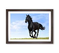 Big Box Art Black Horse Running Framed Wall Art Picture Print Ready to Hang, Walnut A2 (62 x 45 cm)