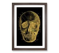 Big Box Art Black Twilight Skull in Gold Framed Wall Art Picture Print Ready to Hang, Walnut A2 (62 x 45 cm)