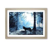 Big Box Art Black Wolf in Blue Forest Framed Wall Art Picture Print Ready to Hang, Oak A2 (62 x 45 cm)