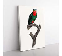 Big Box Art Blue-Crowned Lorikeet by F. Levaillant Canvas Wall Art Print Ready to Hang Picture, 76 x 50 cm (30 x 20 Inch), White, Black, Grey, Green