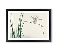 Big Box Art Blue Dragonfly by Kono Bairei Framed Wall Art Picture Print Ready to Hang, Black A2 (62 x 45 cm)