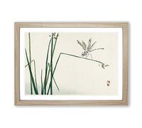 Big Box Art Blue Dragonfly by Kono Bairei Framed Wall Art Picture Print Ready to Hang, Oak A2 (62 x 45 cm)