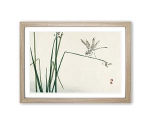 Big Box Art Blue Dragonfly by Kono Bairei Framed Wall Art Picture Print Ready to Hang, Oak A2 (62 x 45 cm)