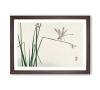 Big Box Art Blue Dragonfly by Kono Bairei Framed Wall Art Picture Print Ready to Hang, Walnut A2 (62 x 45 cm)