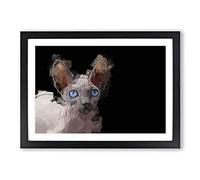 Big Box Art Blue Eyed Sphynx cat in Abstract Framed Wall Art Picture Print Ready to Hang, Black A2 (62 x 45 cm)