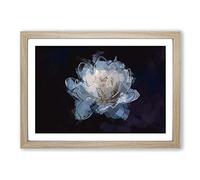 Big Box Art Blue Magnolia Flower in Abstract Framed Wall Art Picture Print Ready to Hang, Oak A2 (62 x 45 cm)