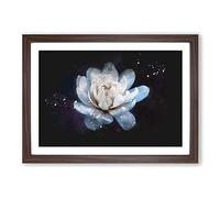 Big Box Art Blue Magnolia Flower Paint Splash Framed Wall Art Picture Print Ready to Hang, Walnut A2 (62 x 45 cm)