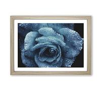 Big Box Art Blue Rose Flower Vol.1 Painting Framed Wall Art Picture Print Ready to Hang, Oak A2 (62 x 45 cm)