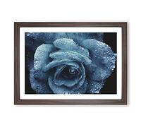 Big Box Art Blue Rose Flower Vol.1 Painting Framed Wall Art Picture Print Ready to Hang, Walnut A2 (62 x 45 cm)
