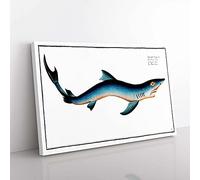 Big Box Art Blue Shark by M.E. Bloch Canvas Wall Art Print Ready to Hang Picture, 76 x 50 cm (30 x 20 Inch), White, Grey, Turquoise, Cream